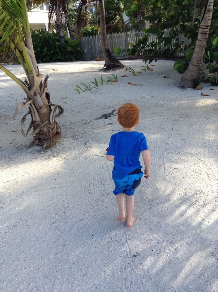 Grandson Brody approaches a lizard cautiously. Try as he might, he was never able to catch one, thank god.