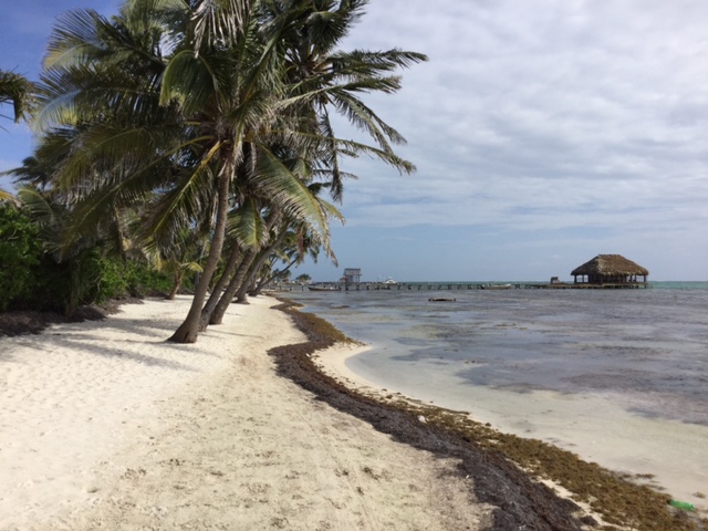 On the Tres Cocos beaches heading north. That's the Ak'Bol yoga retreat and restaurant ahead.